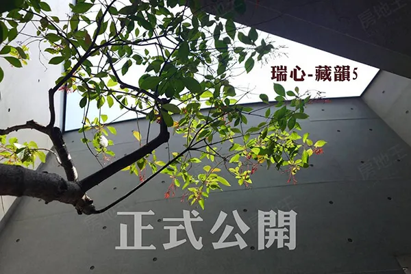 藏韻-5建案主視覺